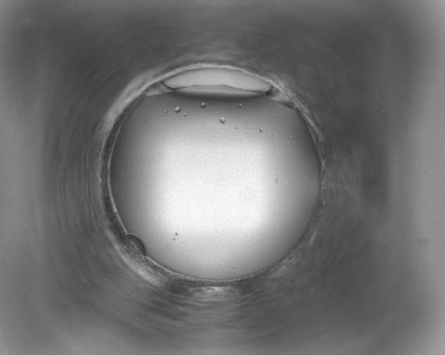 X0000078880151200612042033