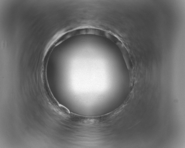 X0000078880152200612042033