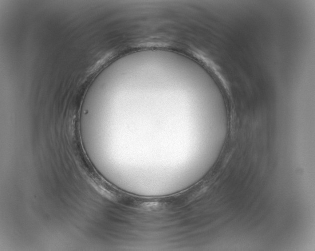 X0000078880153200612042033