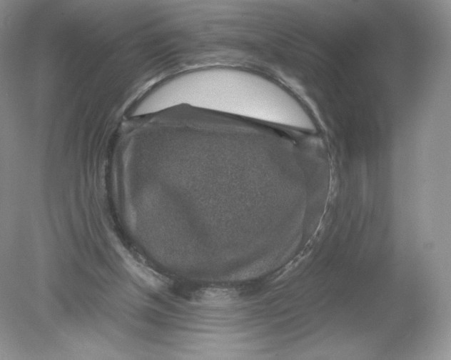 X0000078880154200612042033