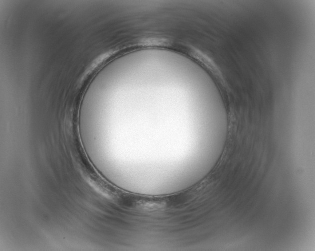 X0000078880155200612042033