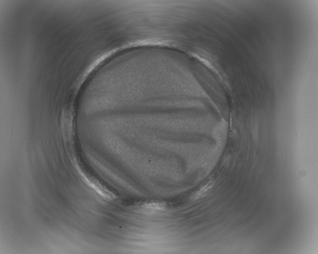 X0000078880156200612042033