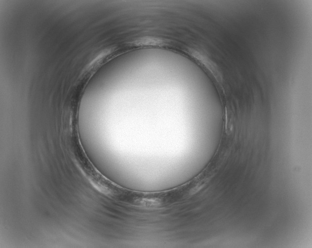 X0000078880157200612042033