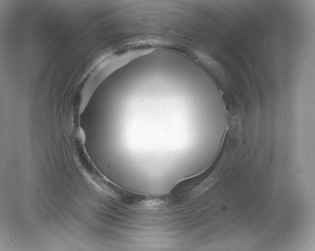 X0000078880158200612042033