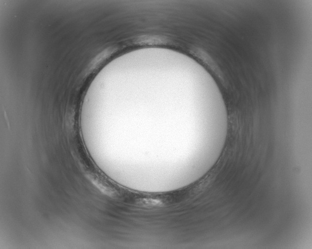 X0000078880159200612042033