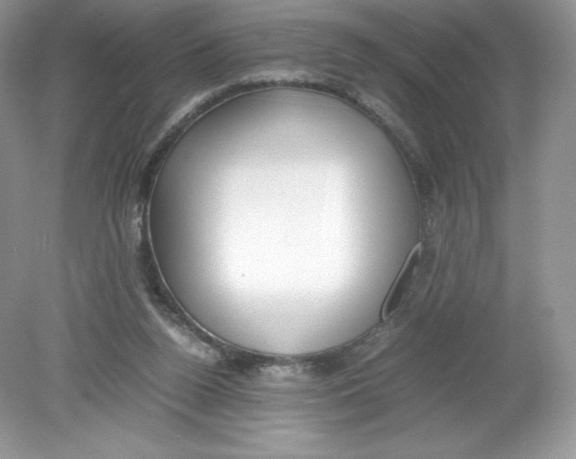 X0000078880160200612042033