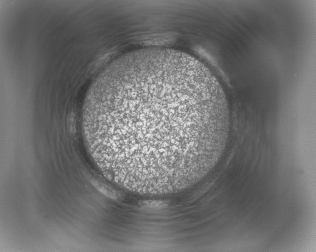 X0000078880161200612042033