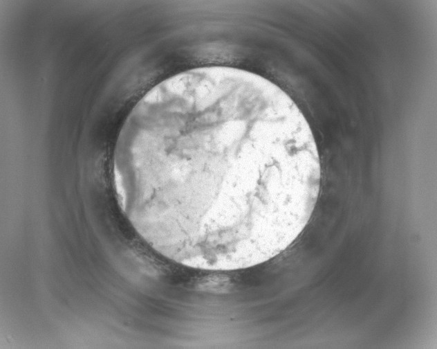 X0000078880162200612042033