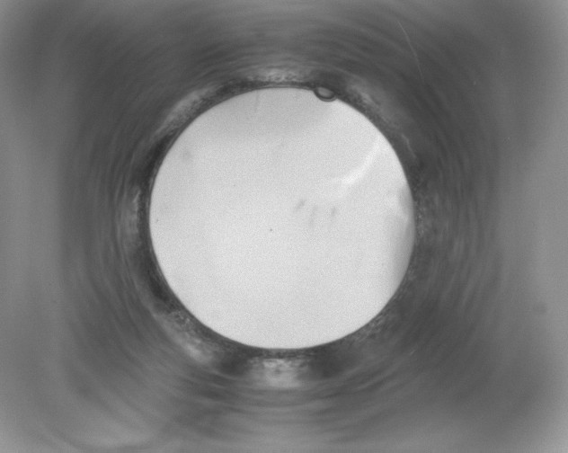 X0000078880163200612042033