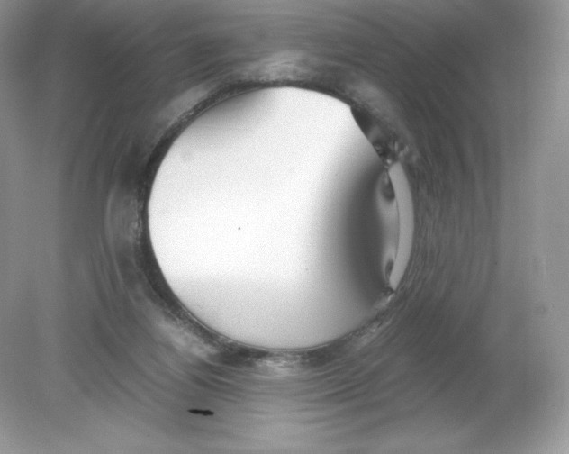 X0000078880164200612042033