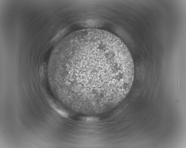 X0000078880165200612042033