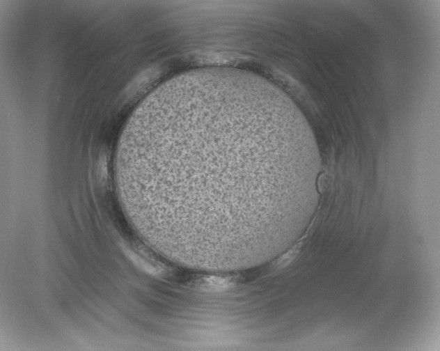 X0000078880166200612042033