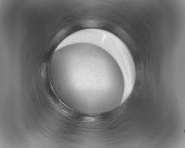 X0000078880167200612042033