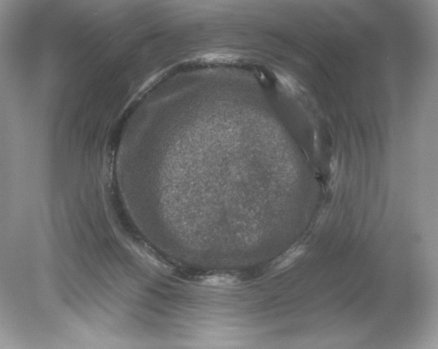 X0000078880168200612042033