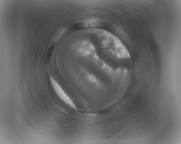 X0000078880169200612042033