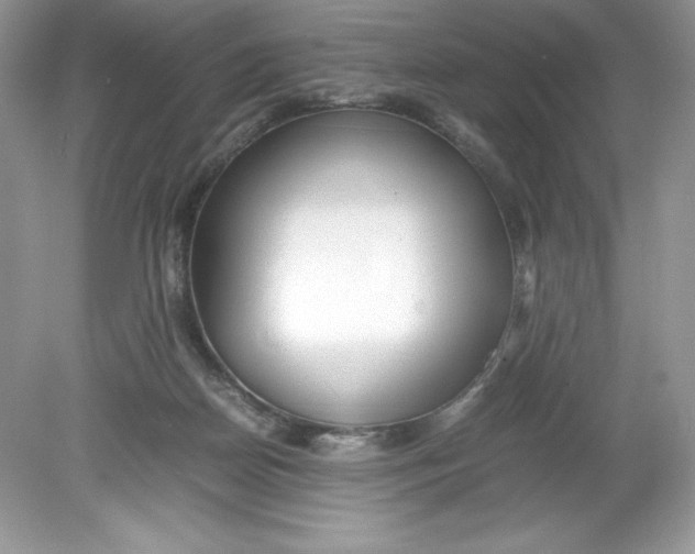 X0000078880170200612042033