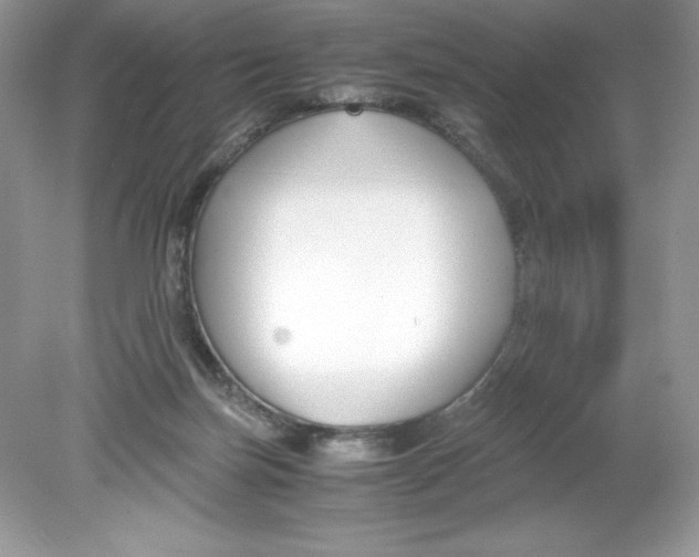 X0000078880171200612042033