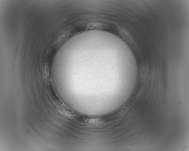 X0000078880173200612042033