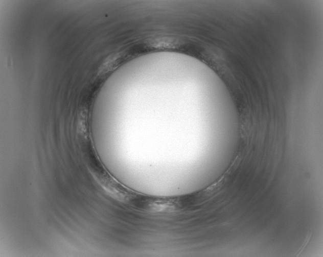 X0000078880175200612042033