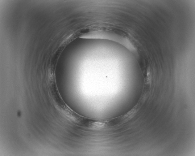 X0000078880176200612042033