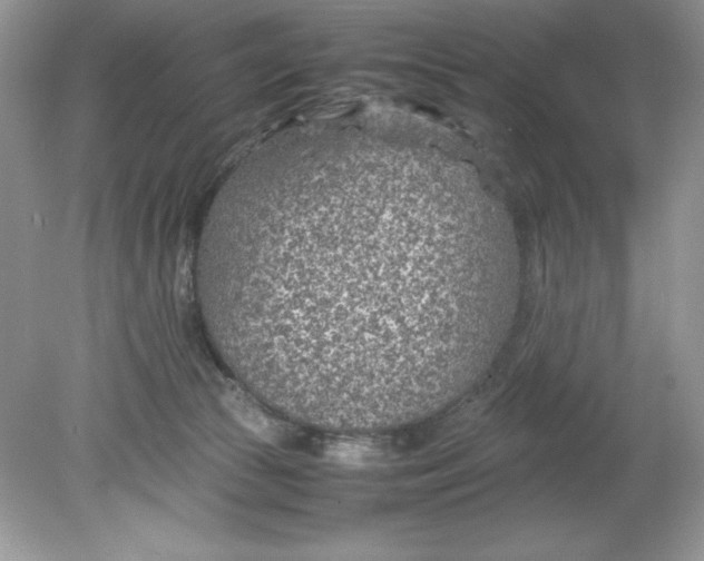 X0000078880177200612042033