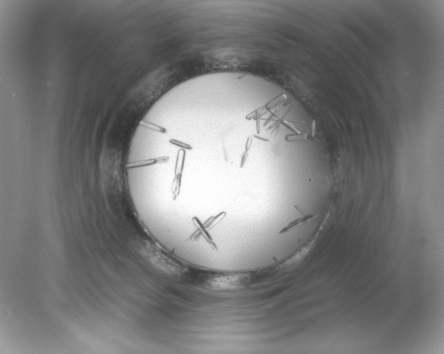 X0000078880178200612042033