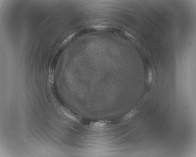 X0000078880180200612042034