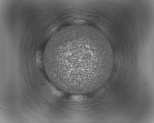 X0000078880181200612042034