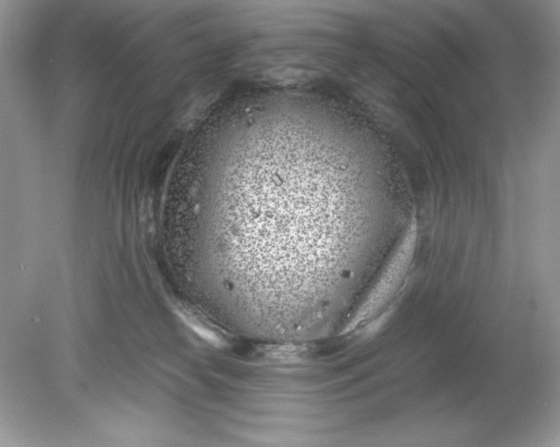 X0000078880182200612042034