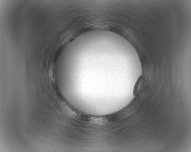 X0000078880185200612042034