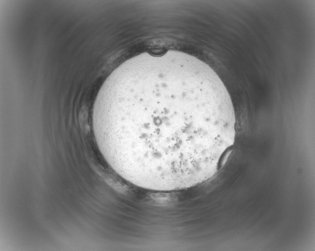 X0000078880187200612042034