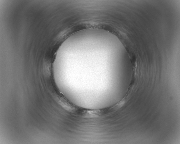 X0000078880188200612042034