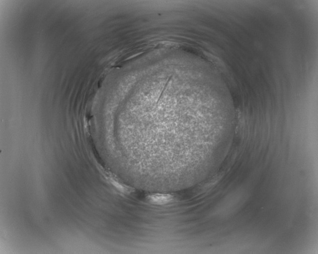 X0000078880189200612042034