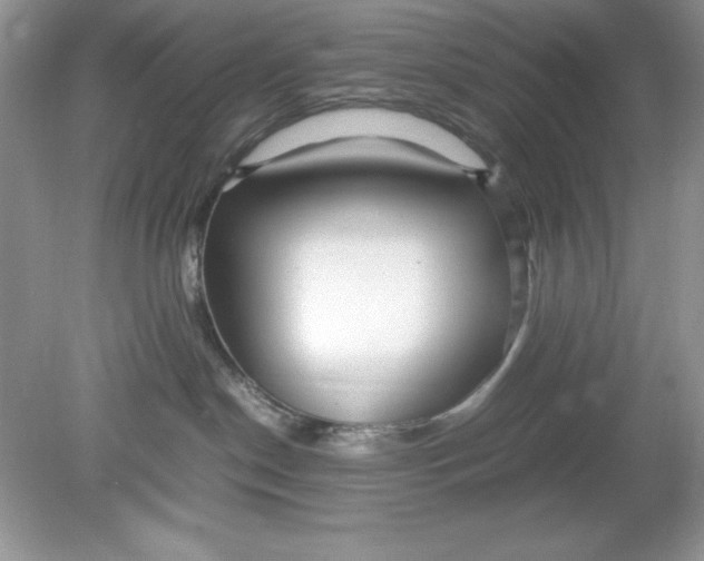 X0000078880190200612042034