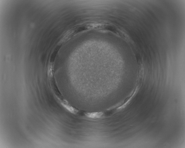 X0000078880191200612042034