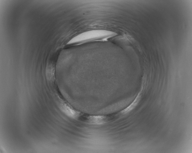 X0000078880192200612042034