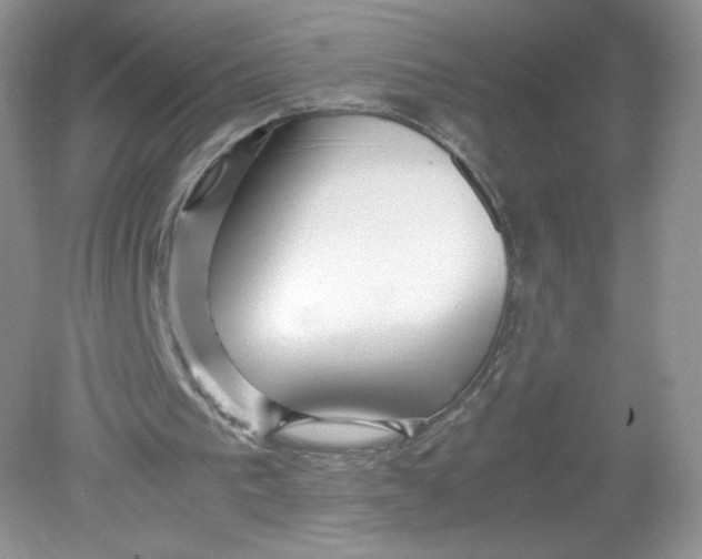 X0000078880193200612042033