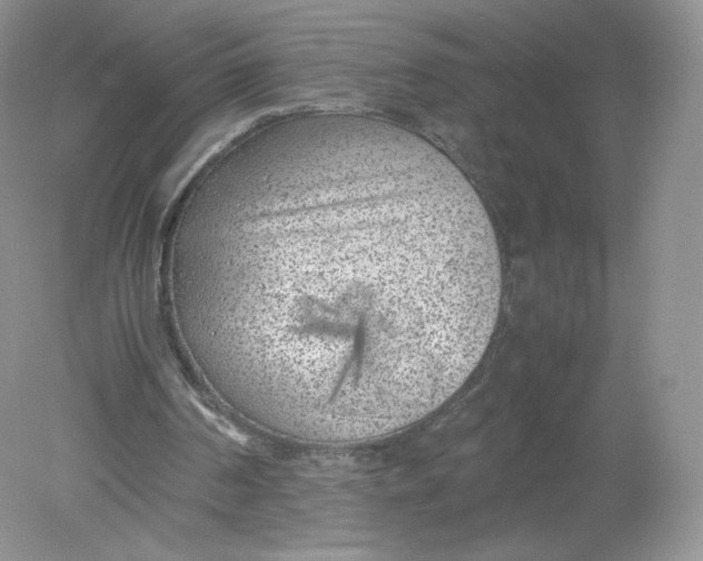 X0000078880194200612042033