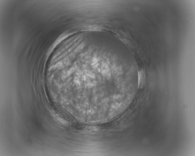 X0000078880195200612042033