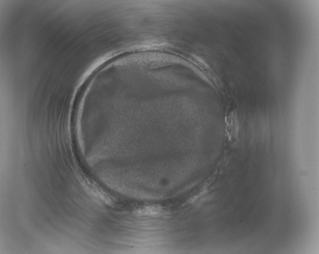 X0000078880196200612042033