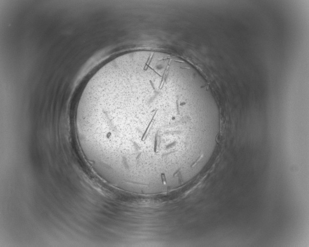 X0000078880198200612042033