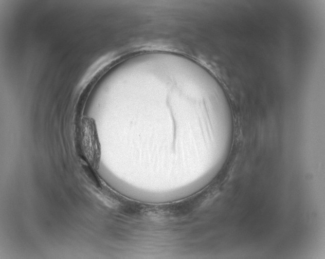 X0000078880199200612042033