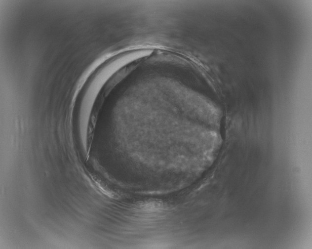 X0000078880200200612042033