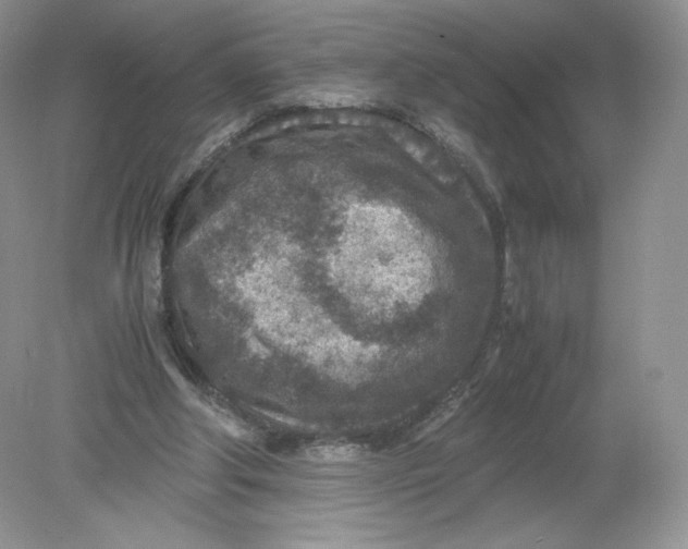 X0000078880202200612042033