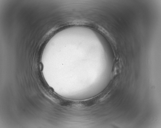 X0000078880203200612042033