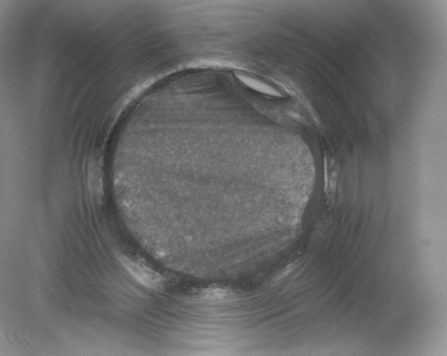 X0000078880204200612042033