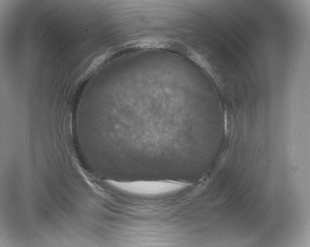 X0000078880205200612042033