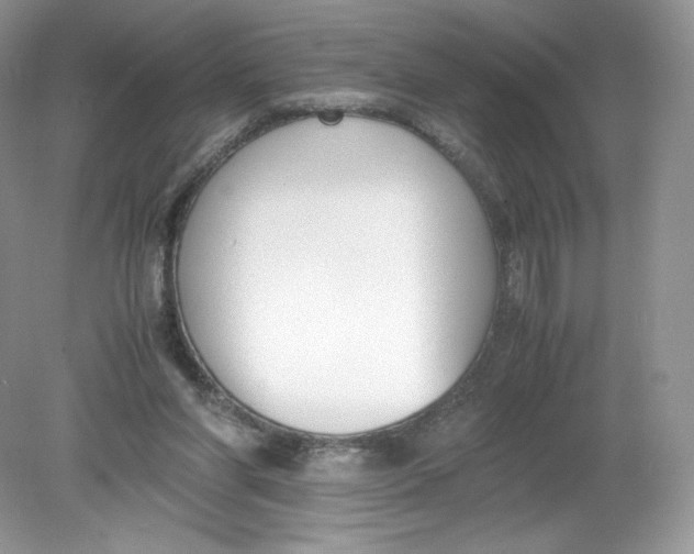 X0000078880206200612042033