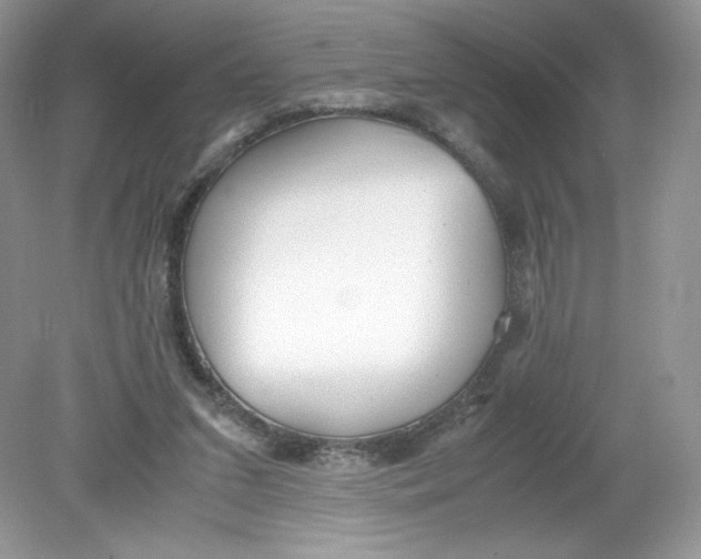 X0000078880207200612042033