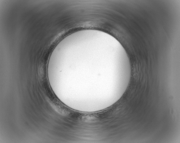 X0000078880208200612042033